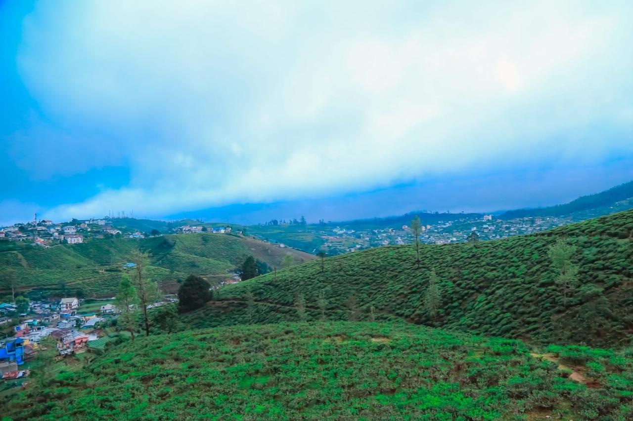 The Mount View Single Tree Hotel Nuwara Eliya Zewnętrze zdjęcie